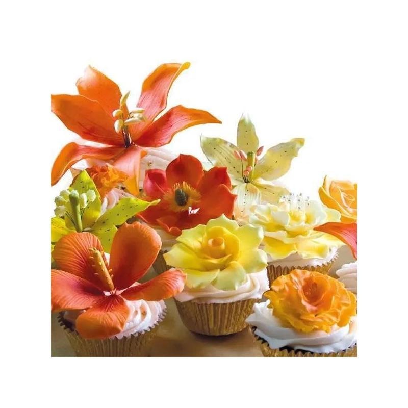 Pasta de Zahar Modelatoare Vizyon 1kg CapriceSHOP
